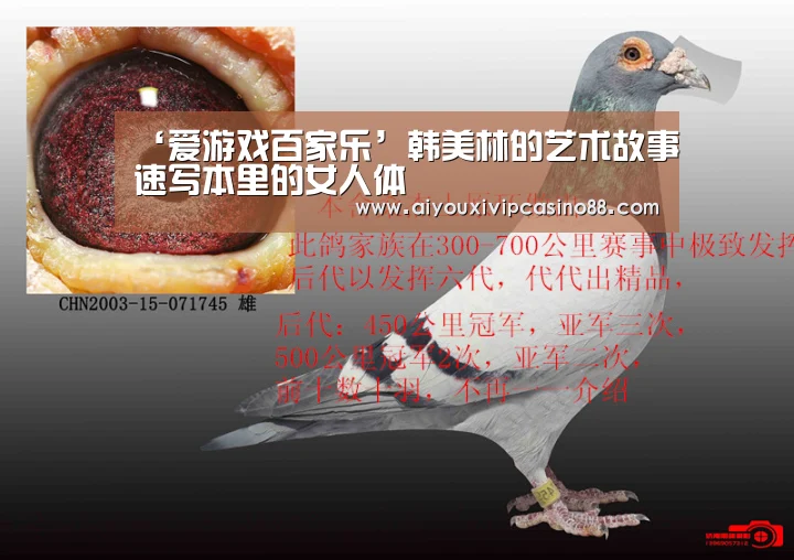 ‘爱游戏百家乐’韩美林的艺术故事速写本里的女人体(图2) 爱游戏直播